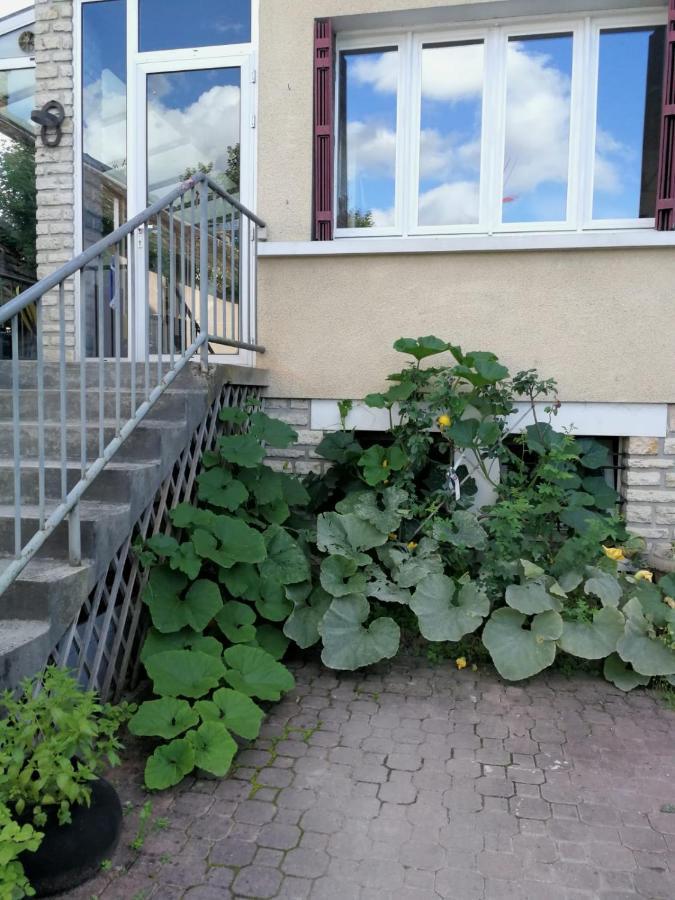 Un Verger Dans La Ville Saint-Parres-aux-Tertres Exterior photo
